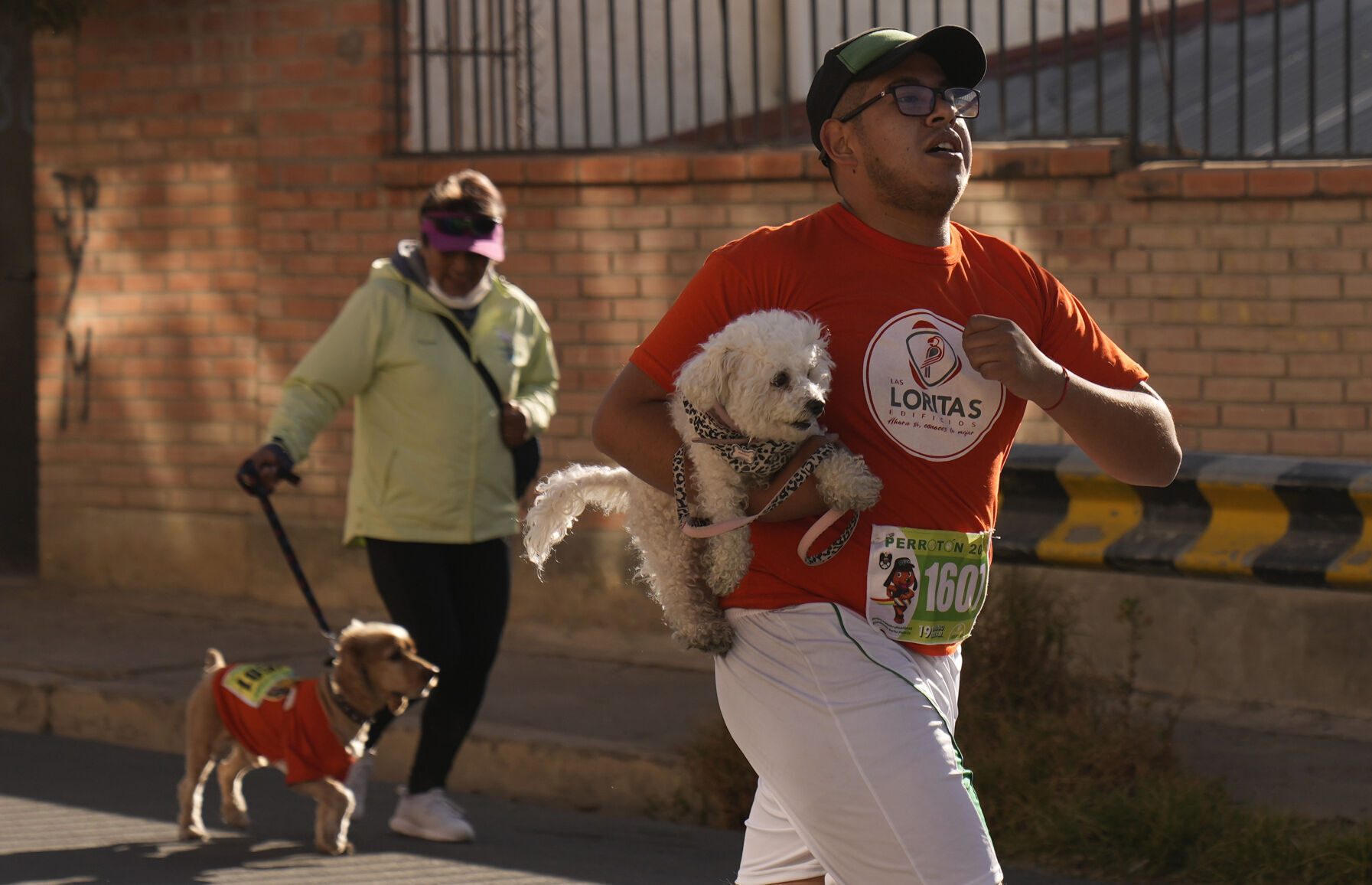 APTOPIX Bolivia Dog-a-thon